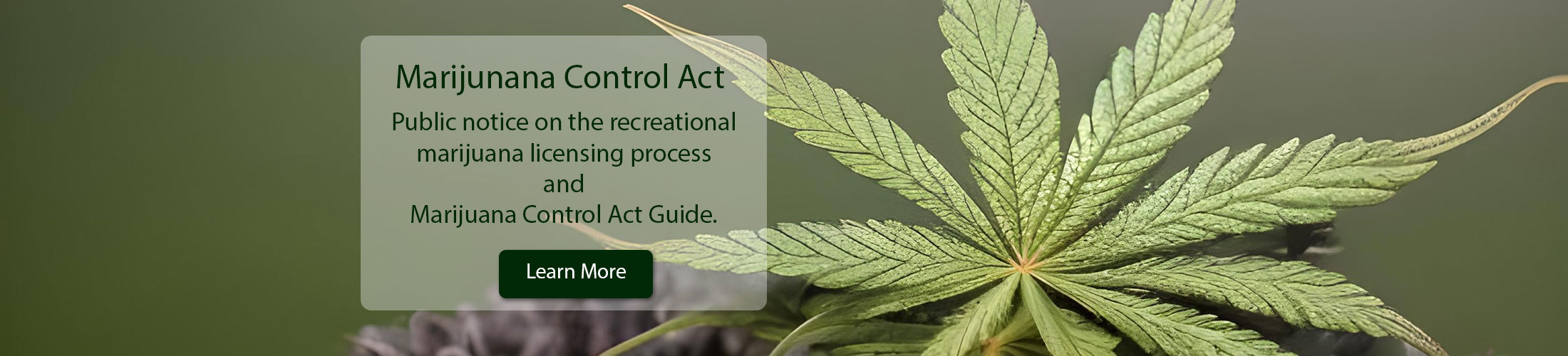 Marijuana Control Act